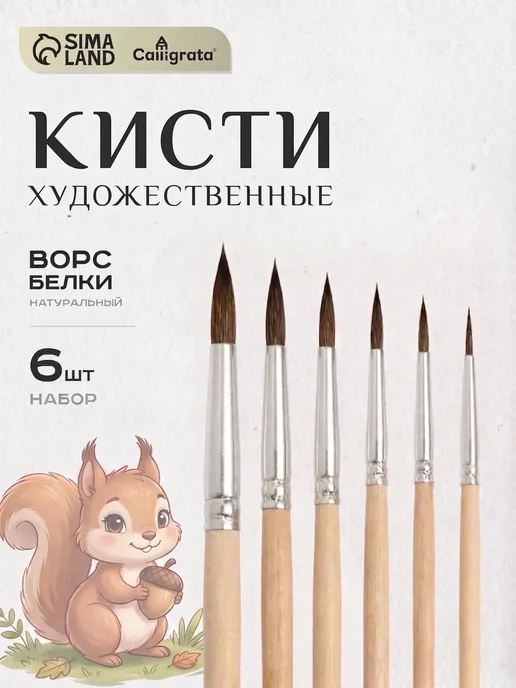 Calligrata Кисти для рисования 10 шт Белка, 6 шт
