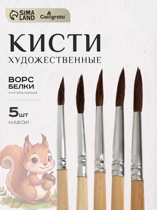 Calligrata Кисти для рисования 10 шт Белка, 5 шт