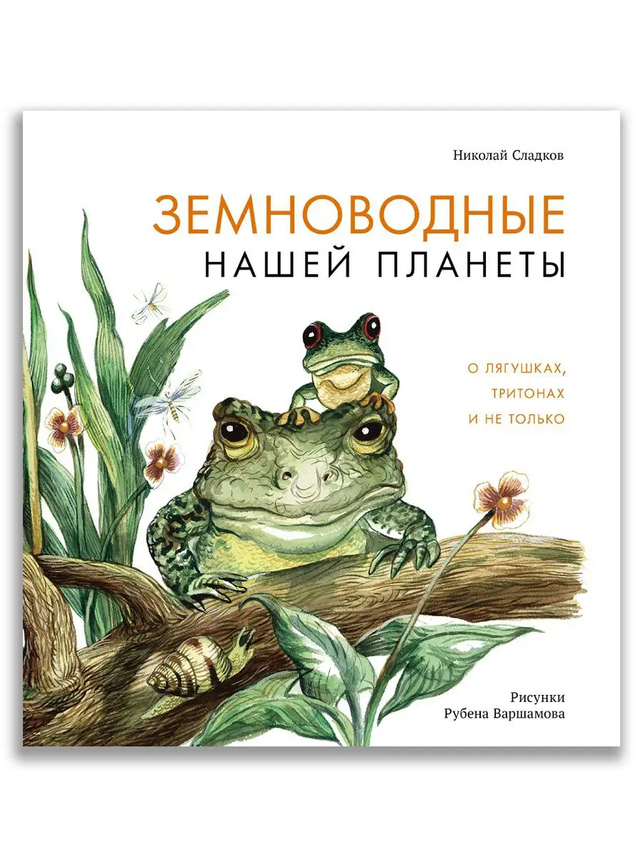 Энциклопедия: Земноводные нашей планеты Издательский Дом Мещерякова  14120865 купить в интернет-магазине Wildberries