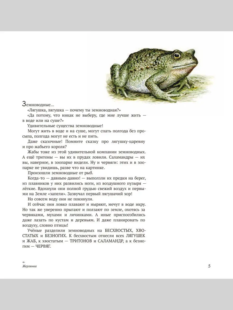 Энциклопедия: Земноводные нашей планеты Издательский Дом Мещерякова  14120865 купить в интернет-магазине Wildberries