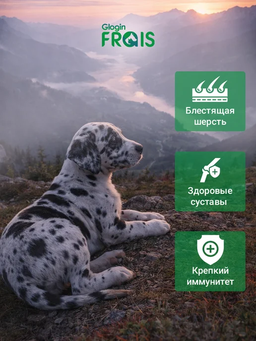 Сухой корм FRAIS для собак, щенки, ягненок, 15 кг, фото 5
