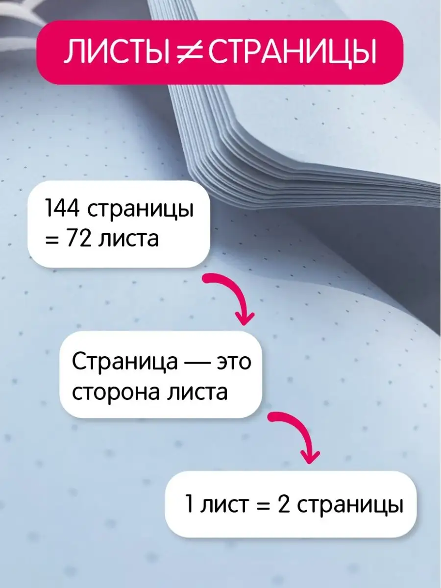 Блокнот в точку А5 Точка бук Анатомия tochkabook 14155238 купить за 289 ₽ в  интернет-магазине Wildberries