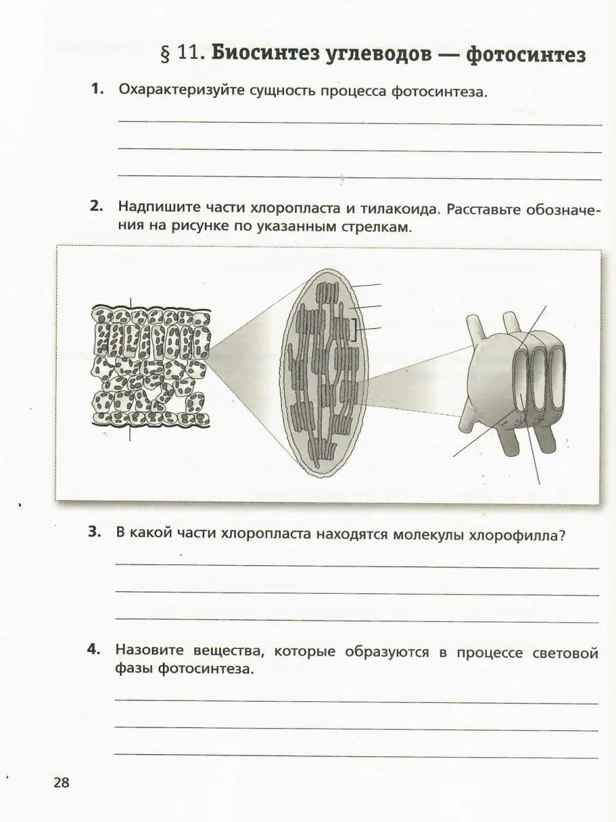 Биология 9 класс. Рабочая тетрадь. Алгоритм успеха Просвещение 14185835  купить за 418 ₽ в интернет-магазине Wildberries