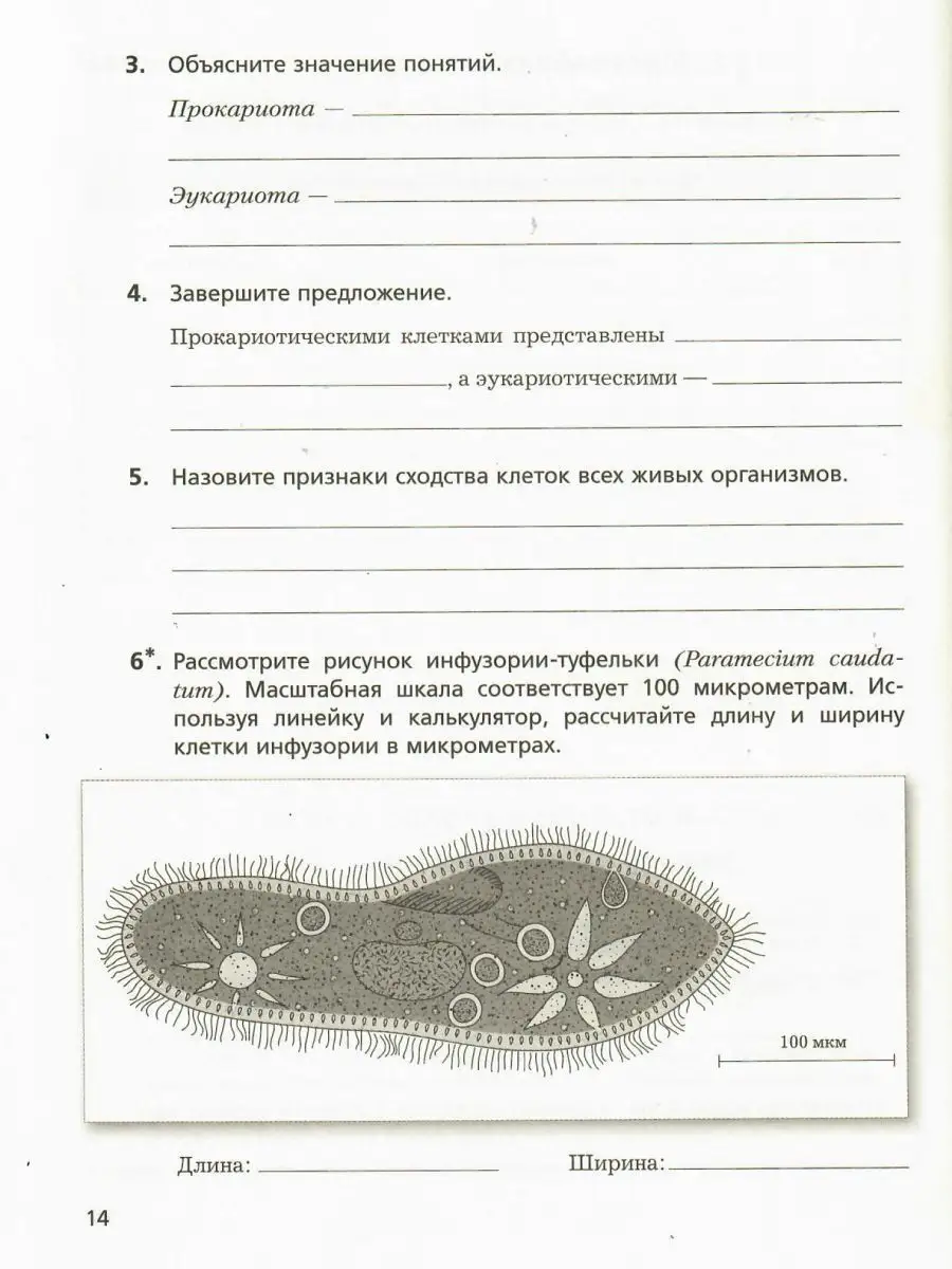 Биология 9 класс. Рабочая тетрадь. Алгоритм успеха Просвещение 14185835  купить за 418 ₽ в интернет-магазине Wildberries