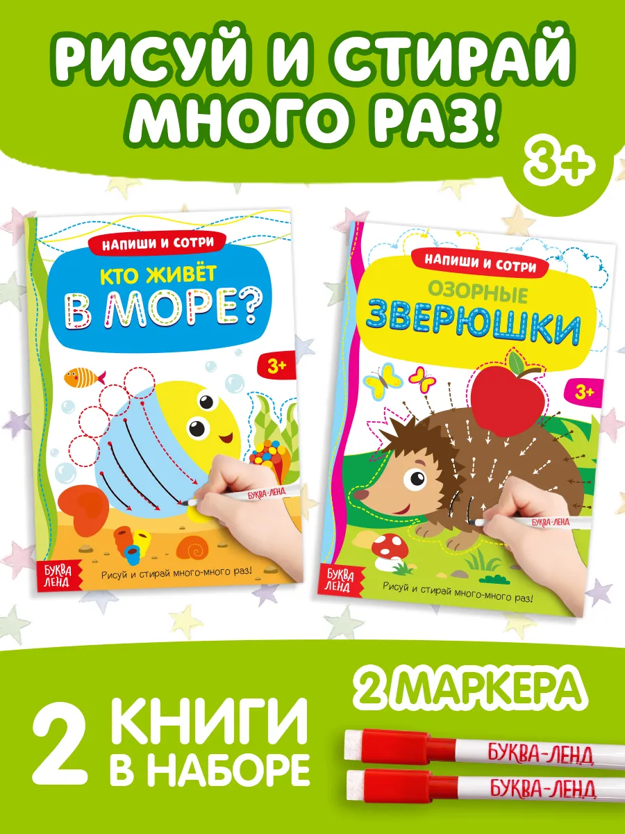 Набор книг Пиши стирай Развиваем моторику 2 шт