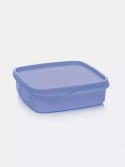 Ланч-бокс Школьник 550 мл Tupperware 14200358 купить за 497 ₽ в интернет-магазине Wildberries