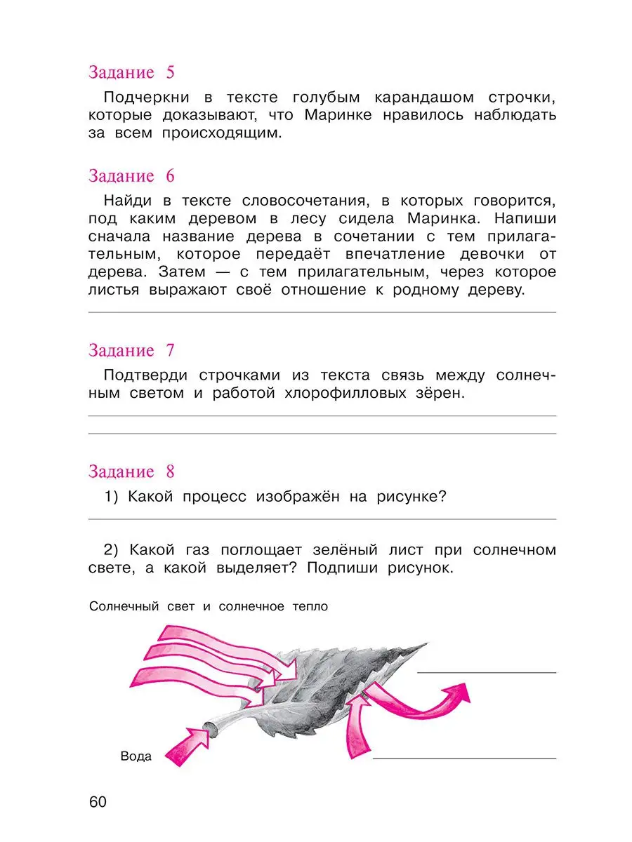 Итоговая аттестация выпускников начальной школы.4 кл.Тетрадь Издательство  Академкнига/Учебник 14226796 купить в интернет-магазине Wildberries