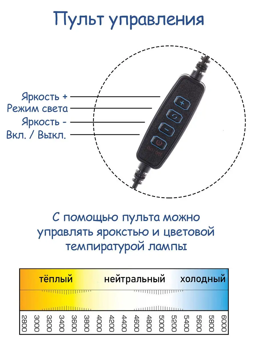 Кольцевая лампа со штативом, держателем для телефона, для блогера, съемок  селфи и фото, диаметр 26см Кольцевая лампа AMAI 14235724 купить в  интернет-магазине Wildberries