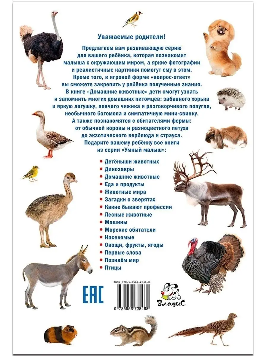Книги о домашних животных: 10 самых полезных изданий для тех, кто любит питомцев!