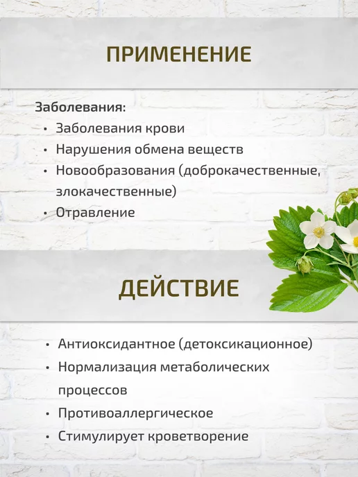 Шалфей Сбор для обновления формулы крови 100 г, 100 г, фото 4