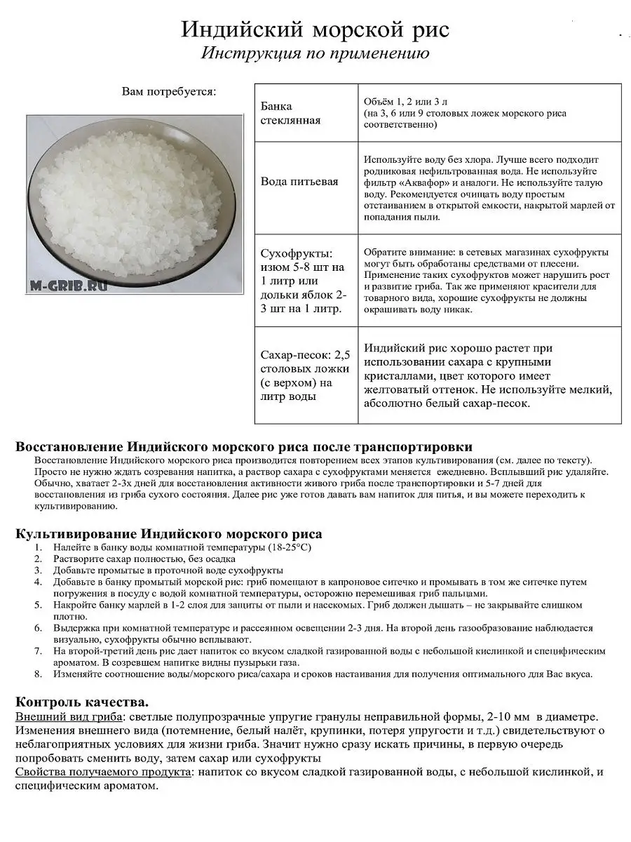МИЦЕЛИЙ ВЕШЕНКИ gkhyarovoe.ruКА - купить мицелий вешенки в Жердевке (семена грибов почтой)