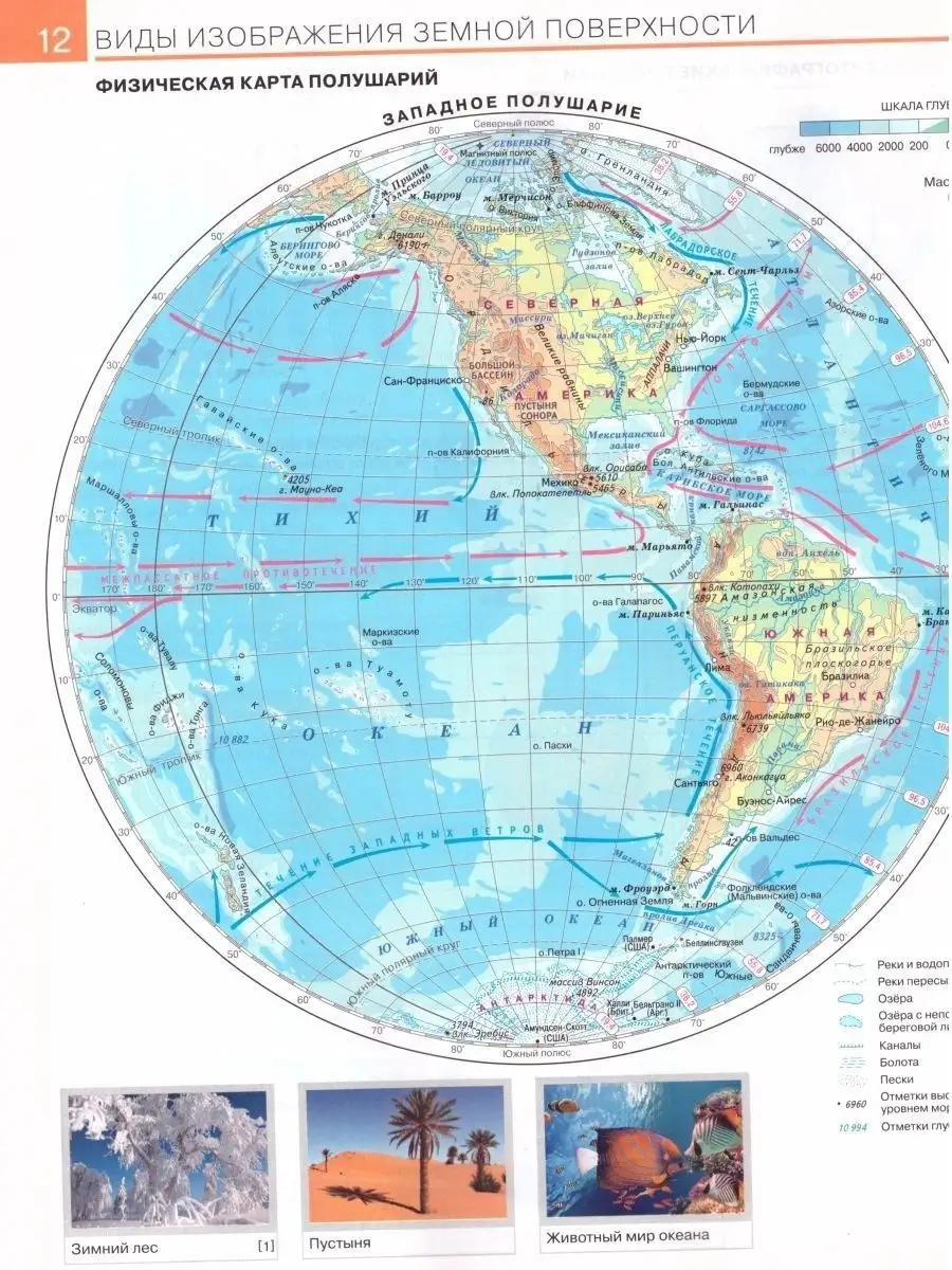 География 6 класс. Атлас. ФГОС Просвещение 14307005 купить в  интернет-магазине Wildberries