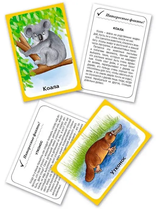 РУЗ Ко Игры. Карточки для детей ЖИВОТНЫЕ Австралии, белый, фото 3