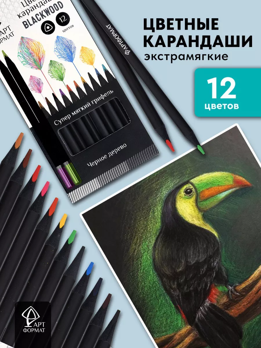 Карандаши цветные мягкие Blackwood 12 цвета для рисования АРТформат  14344294 купить за 256 ₽ в интернет-магазине Wildberries