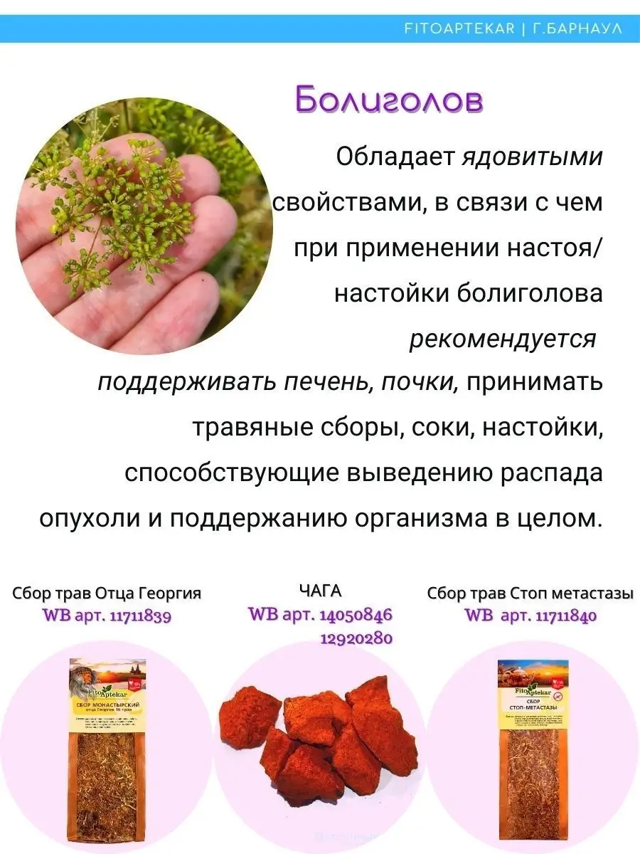 Болиголов, трава ФИТО-АПТЕКАРЬ 14345119 купить в интернет-магазине  Wildberries