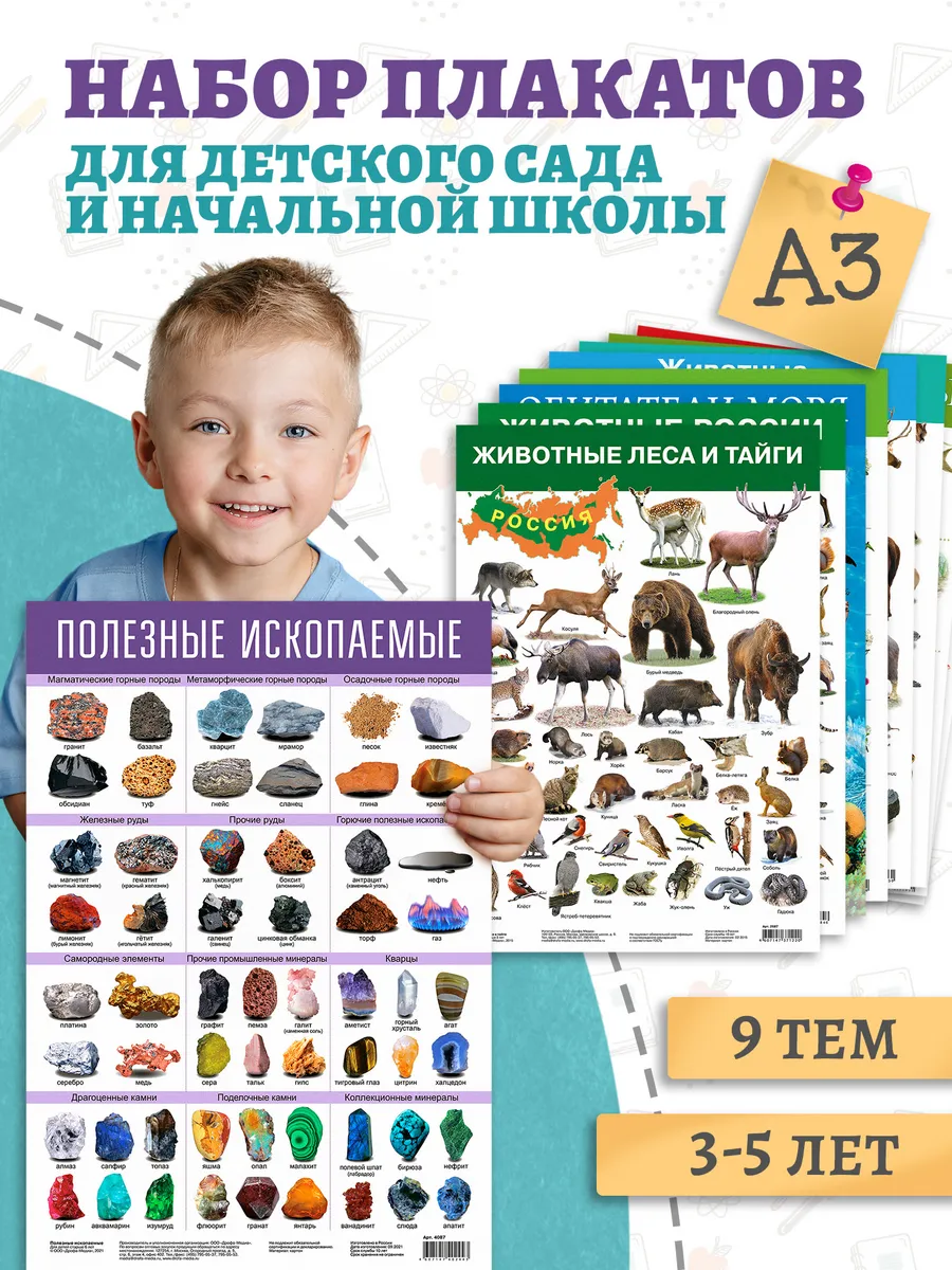 Набор обучающих плакатов от 3 лет живая природа