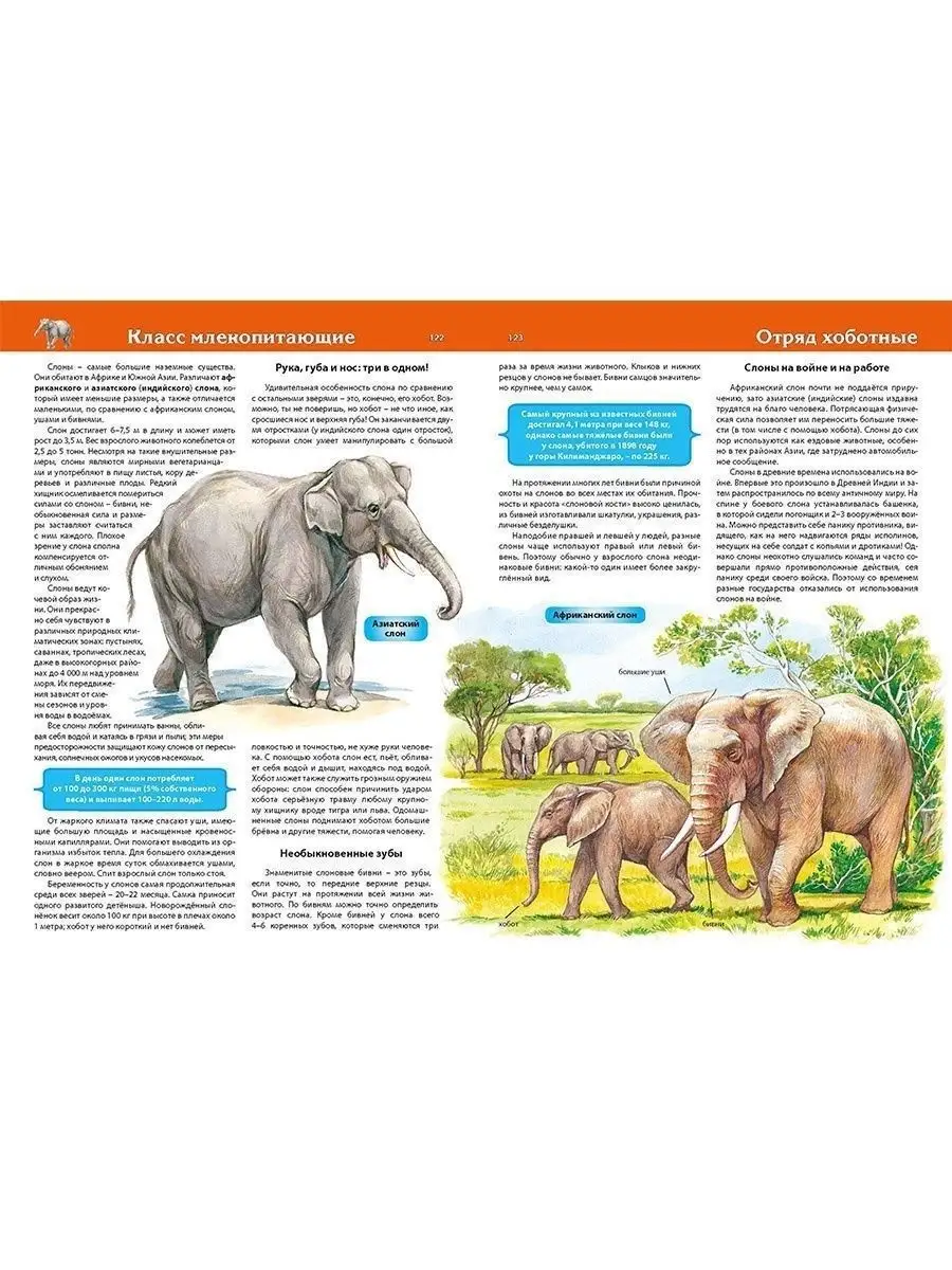 Как в России будут исполнять закон о запрете ЛГБТ-пропаганды | adv55.ru