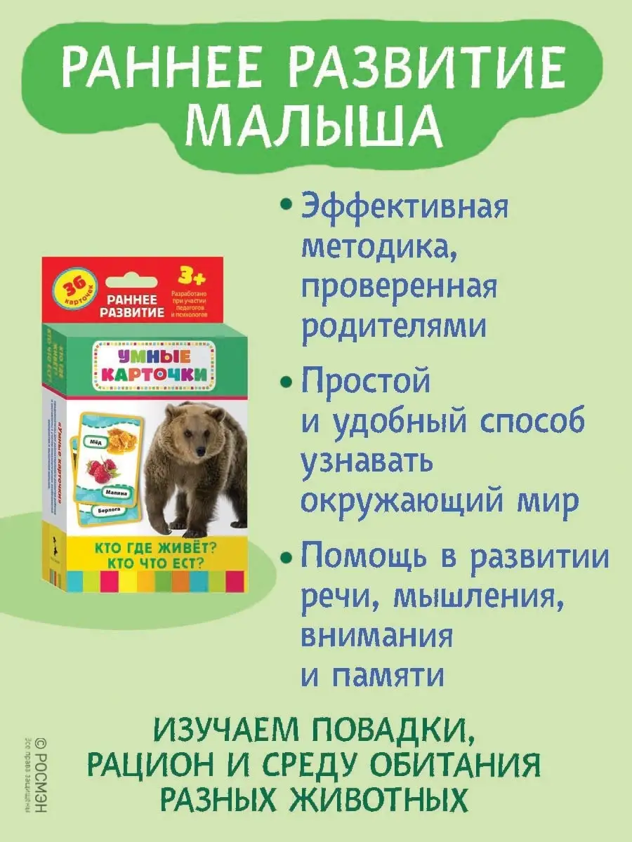 Кто где живет, кто что ест? Развивающие карточки 3+ РОСМЭН 2039167 купить в  интернет-магазине Wildberries