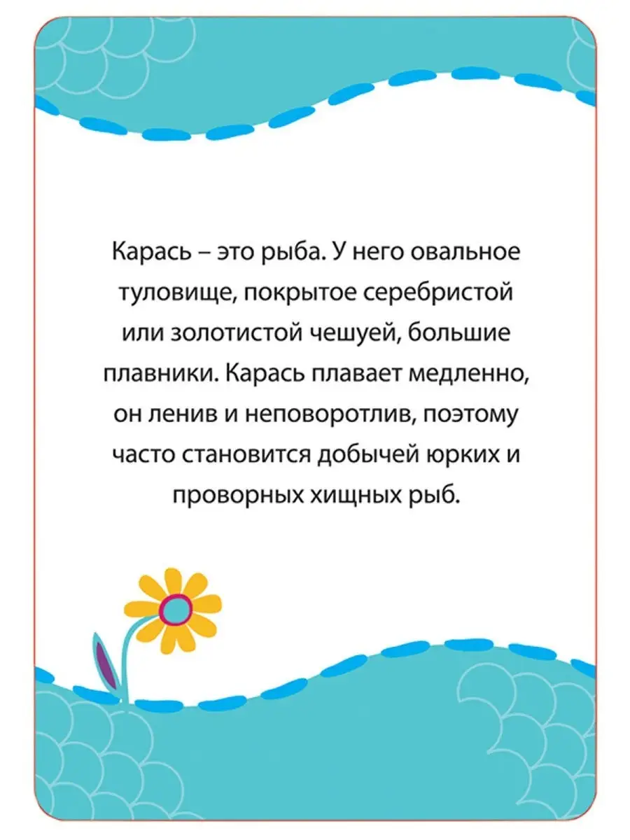 Кто где живет, кто что ест? Развивающие карточки 3+ РОСМЭН 2039167 купить в  интернет-магазине Wildberries