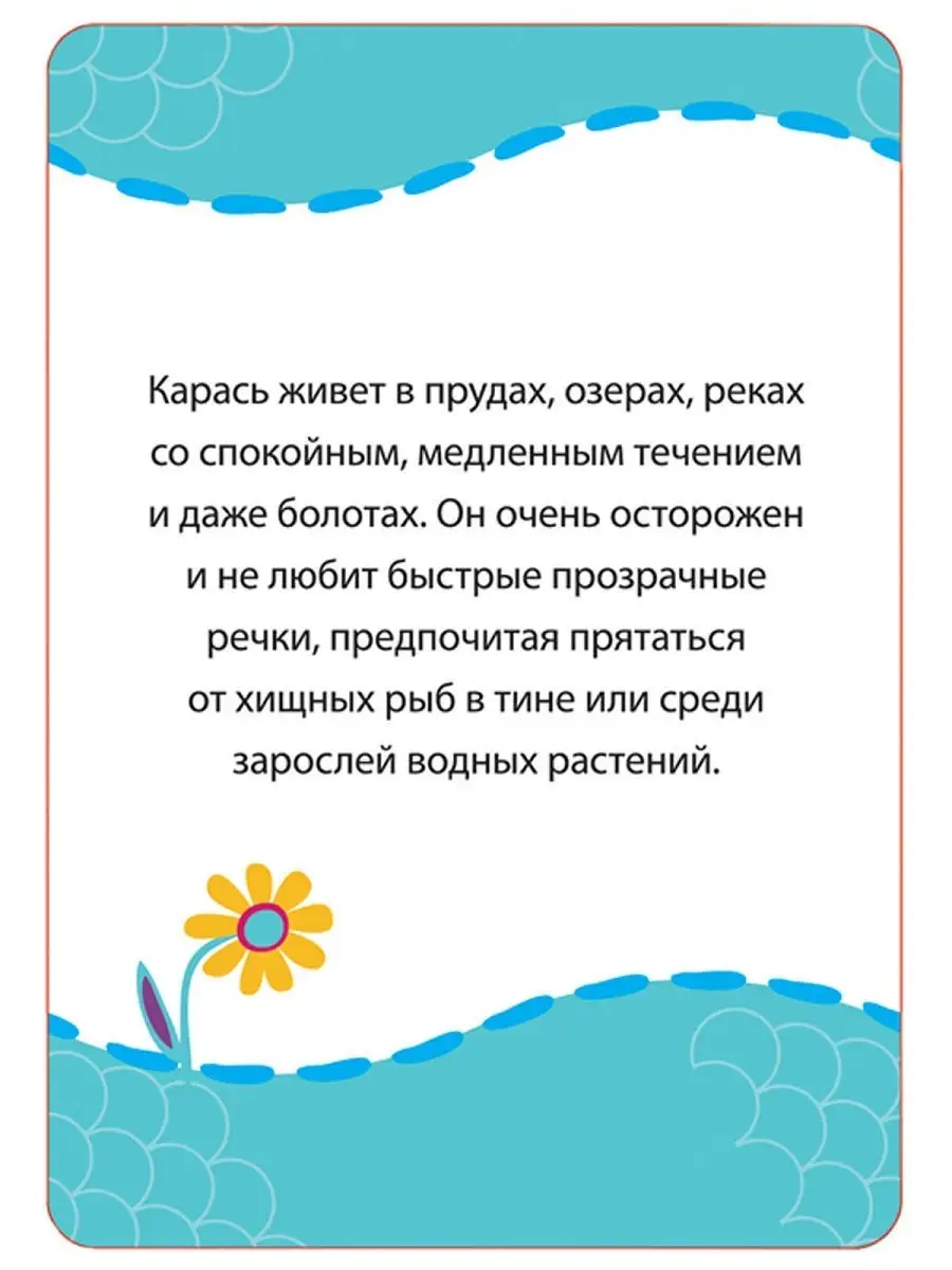 Кто где живет, кто что ест? Развивающие карточки 3+ РОСМЭН 2039167 купить в  интернет-магазине Wildberries