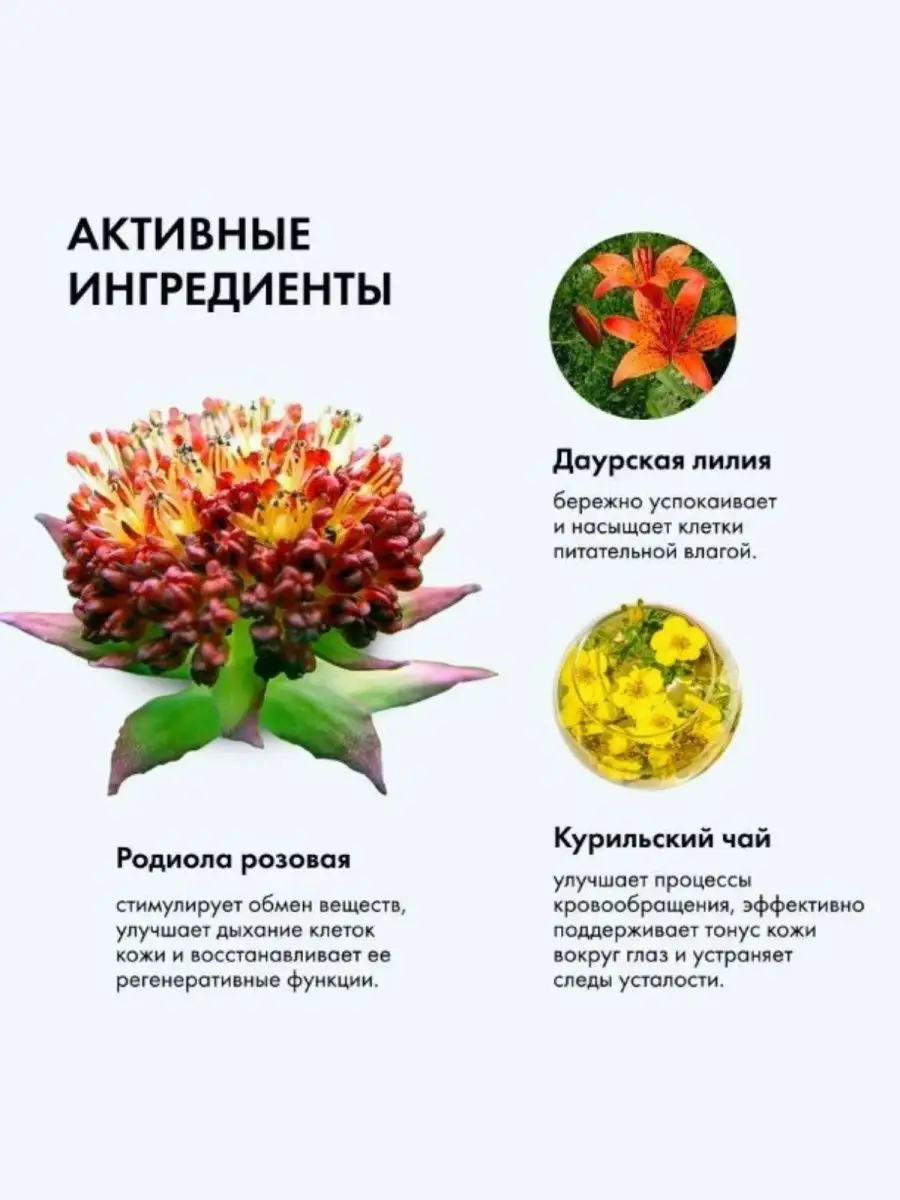 Пенка очищающая для снятия макияжа 150 мл Natura Siberica 2055857 купить в  интернет-магазине Wildberries