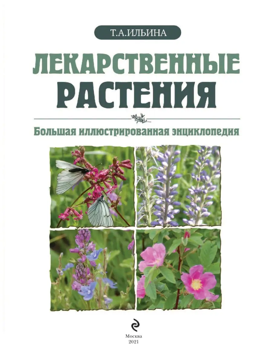 Лекарственные растения. Большая иллюстрированная Эксмо 2148823 купить за  887 ₽ в интернет-магазине Wildberries