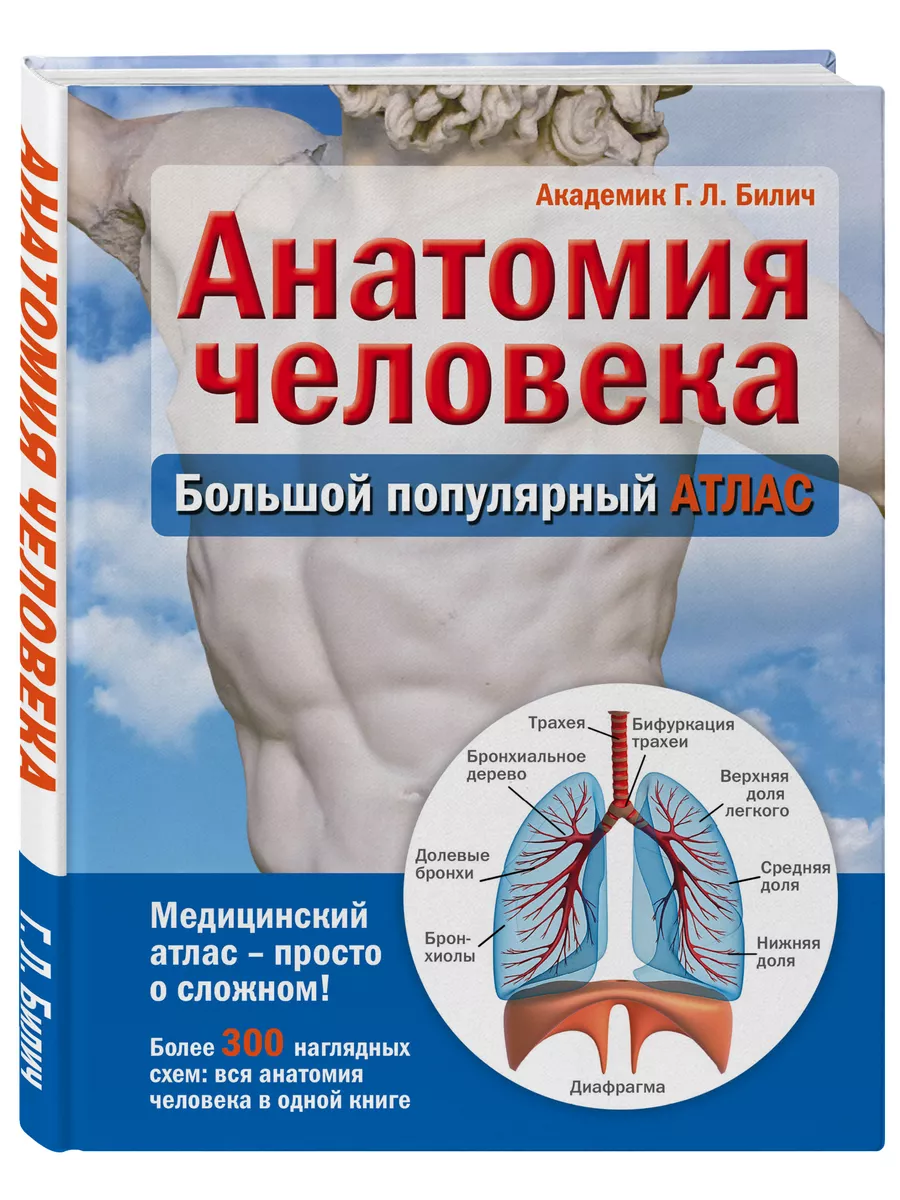 МЕДПРОФ / Анатомия человека: большой популярный атлас Эксмо 2148922 купить  за 854 ₽ в интернет-магазине Wildberries