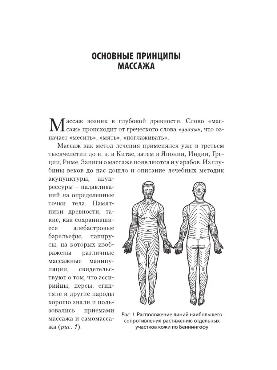 Большой справочник по массажу Издательство АСТ 2149805 купить за 434 ₽ в  интернет-магазине Wildberries