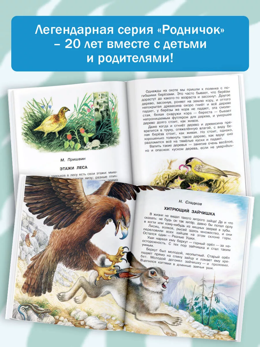 Родничок. Книга для внеклассного чтения в 4 классе Издательство АСТ 2167478  купить за 582 ₽ в интернет-магазине Wildberries