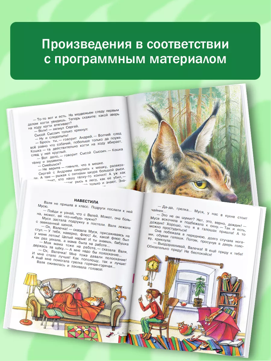 Издательство АСТ Родничок. Книга для внеклассного чтения