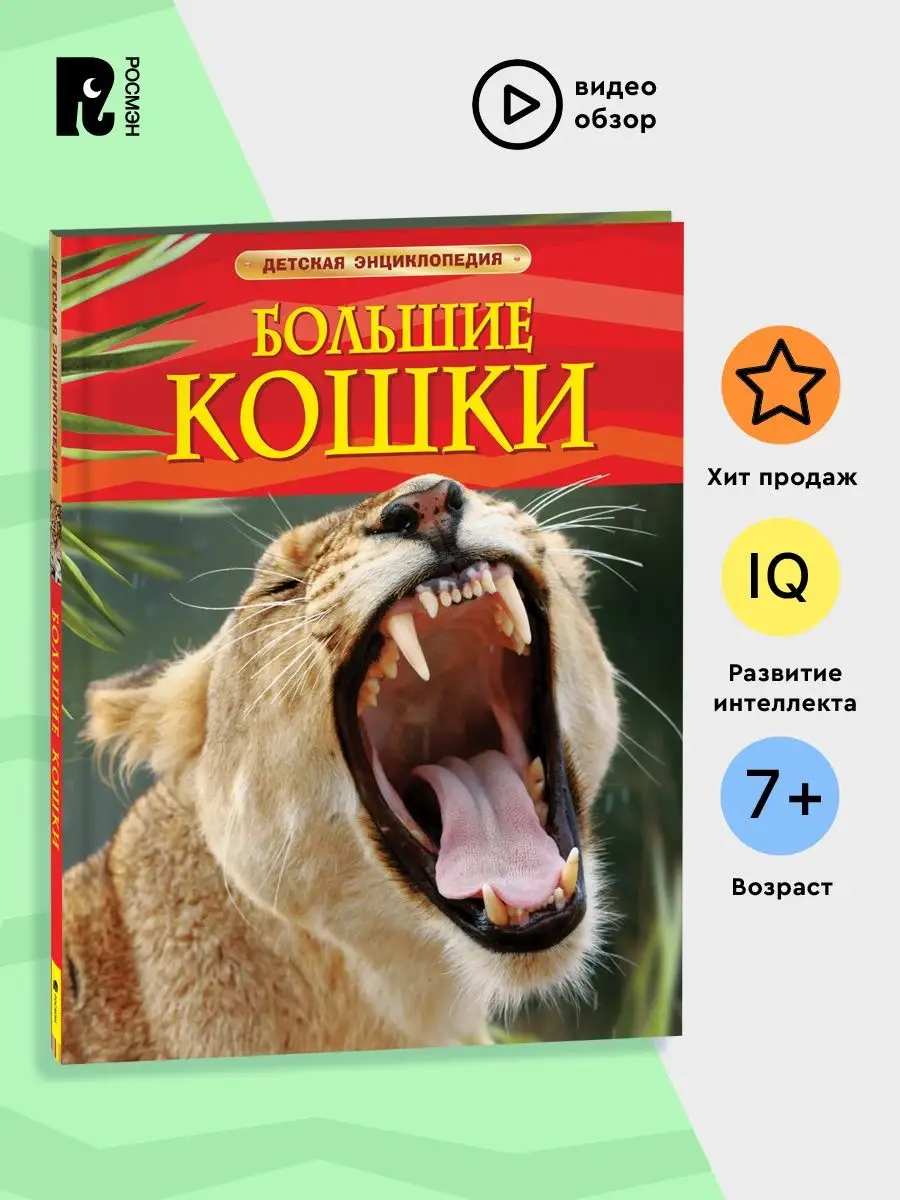 Книга Большие кошки. Детская энциклопедия школьника 7 лет РОСМЭН 2243834  купить в интернет-магазине Wildberries