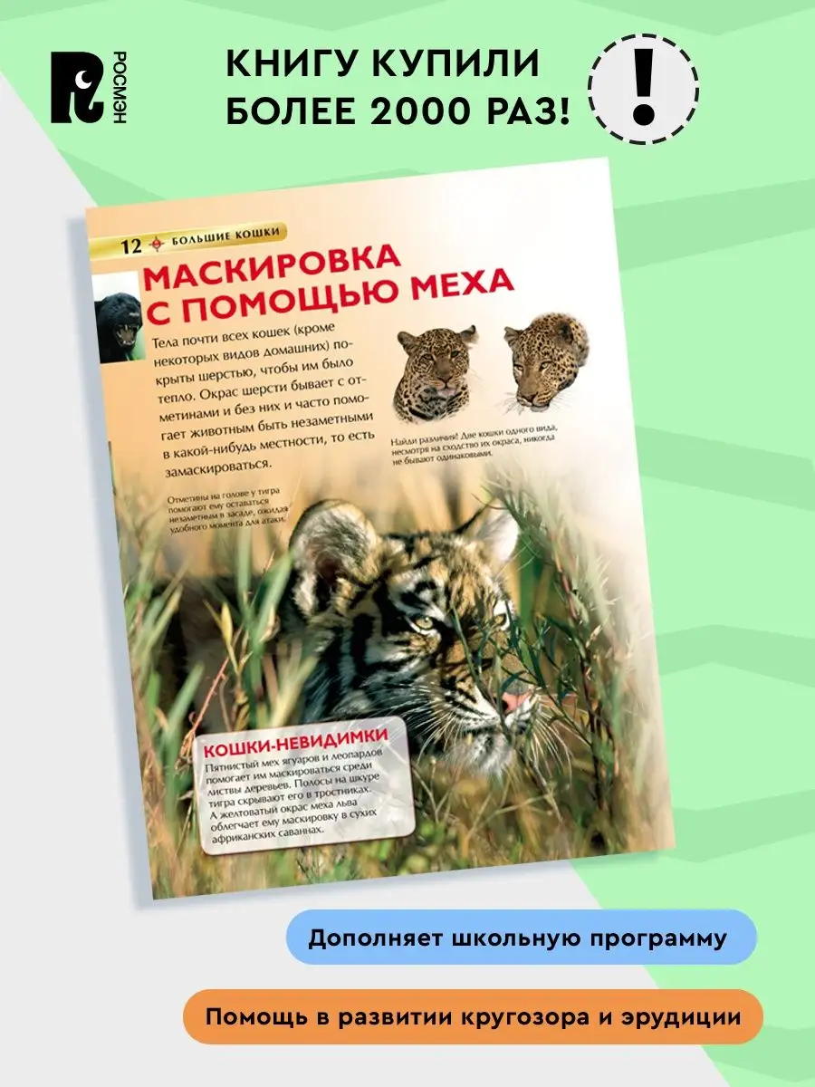 Книга Большие кошки. Детская энциклопедия школьника 7 лет РОСМЭН 2243834  купить в интернет-магазине Wildberries