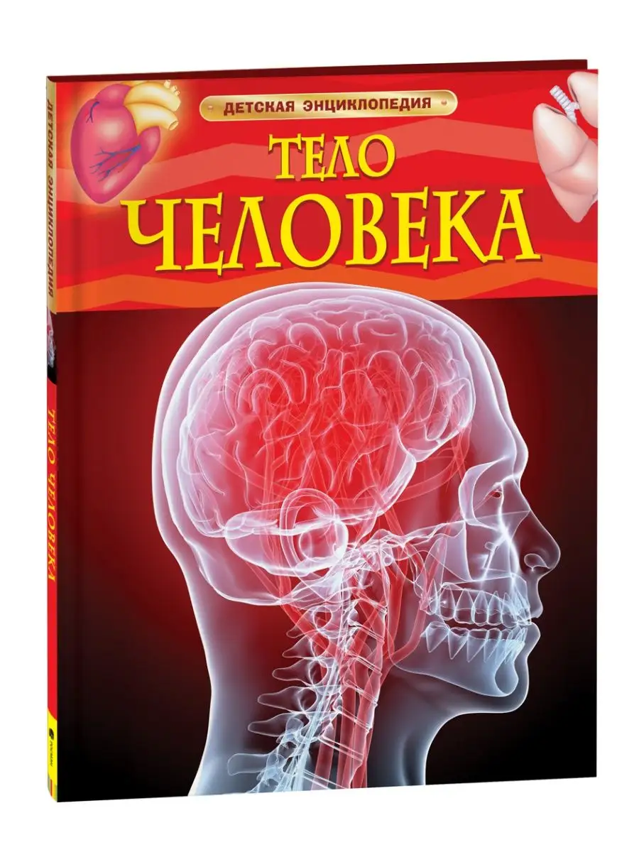 Книга Тело человека. Детская энциклопедия школьника 7 лет РОСМЭН 2243839  купить за 344 ₽ в интернет-магазине Wildberries