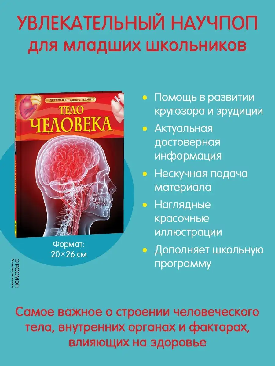 Книга Тело человека. Детская энциклопедия школьника 7 лет РОСМЭН 2243839  купить за 344 ₽ в интернет-магазине Wildberries