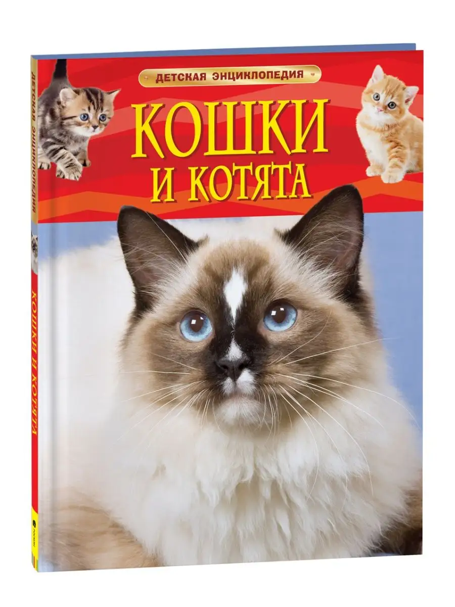 Книга Кошки и котята. Детская энциклопедия школьника 7 лет РОСМЭН 2243993  купить за 379 ₽ в интернет-магазине Wildberries