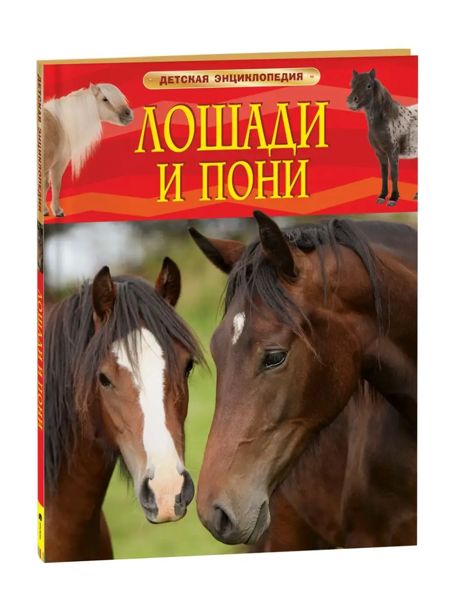 Книга Лошади и пони. Детская энциклопедия школьника 7 лет РОСМЭН 2243999  купить за 379 ₽ в интернет-магазине Wildberries