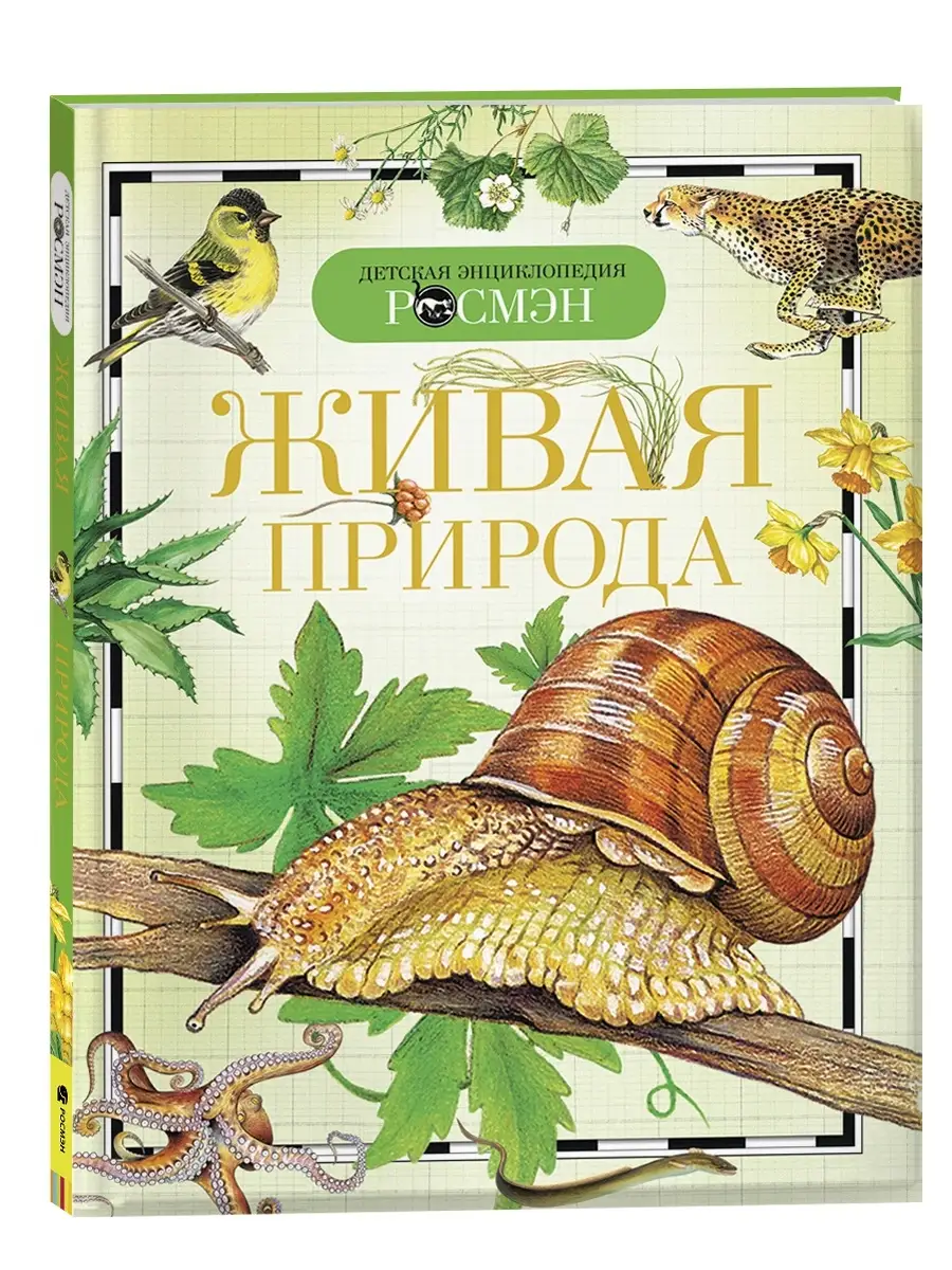 Книга Живая природа. Детская энциклопедия школьника РОСМЭН 2244146 купить  за 299 ₽ в интернет-магазине Wildberries