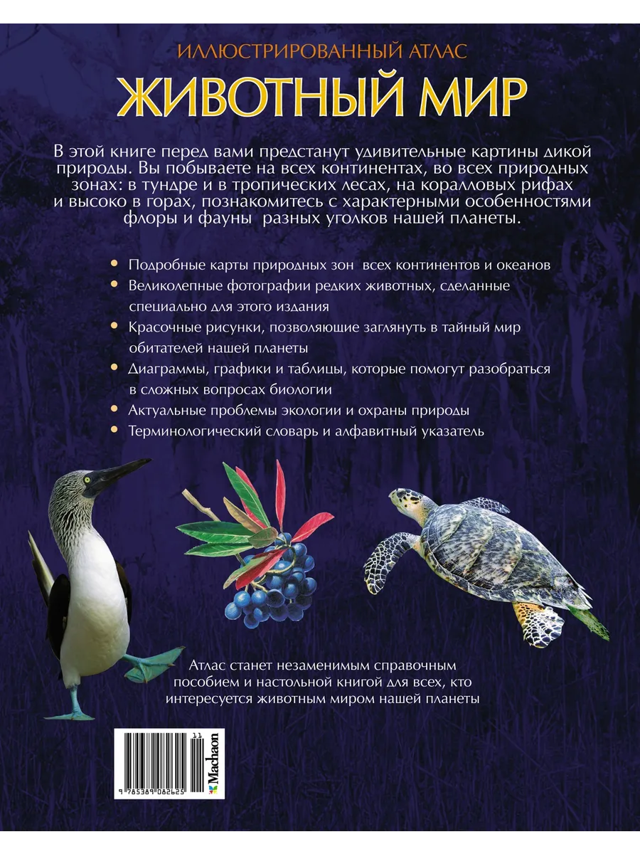 Животный мир. Иллюстрированный атлас Издательство Махаон 2264428 купить за  1 454 ₽ в интернет-магазине Wildberries