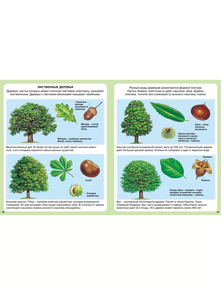 Загадки природы Издательство Махаон 2264632 купить в интернет-магазине  Wildberries