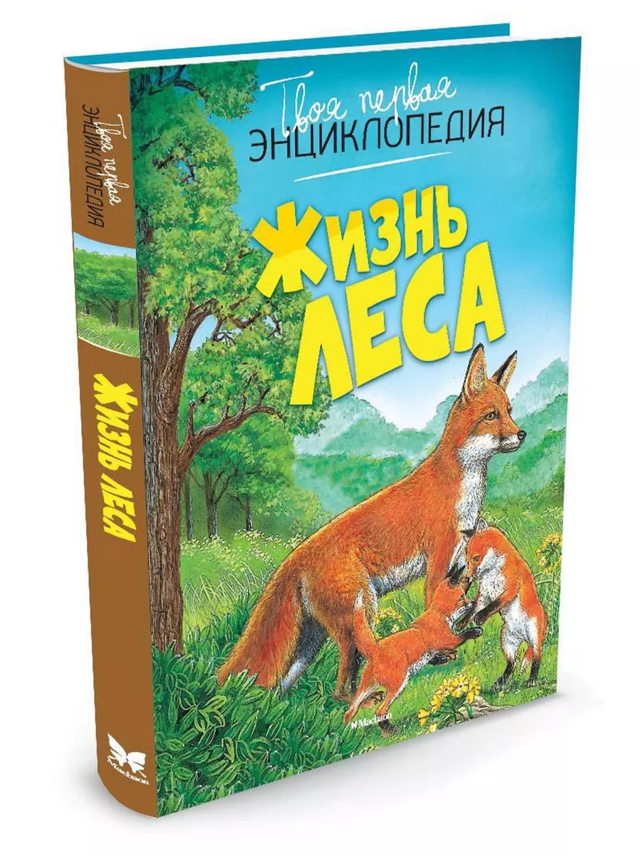 Жизнь леса Издательство Махаон 2264714 купить за 446 ₽ в интернет-магазине  Wildberries