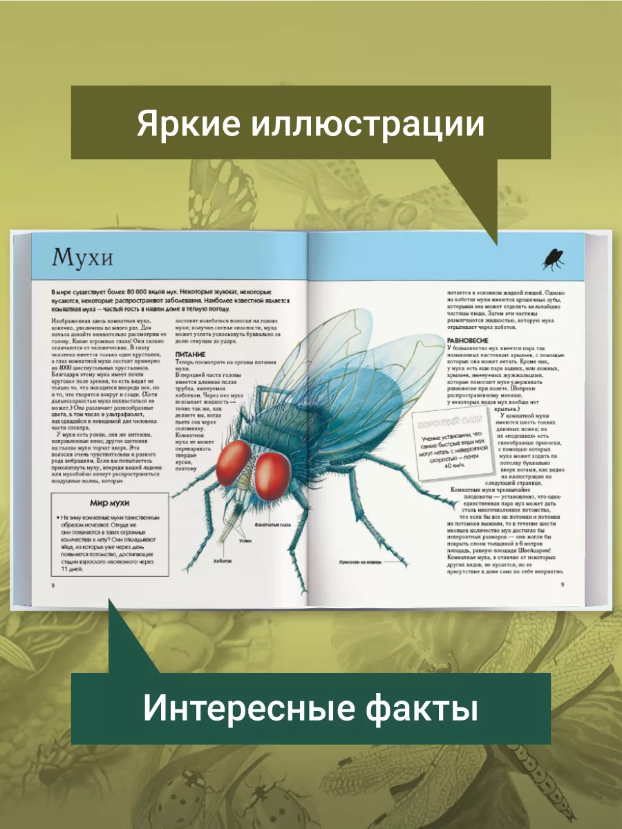 Насекомые. Полная энциклопедия Эксмо 2268482 купить за 890 ₽ в  интернет-магазине Wildberries