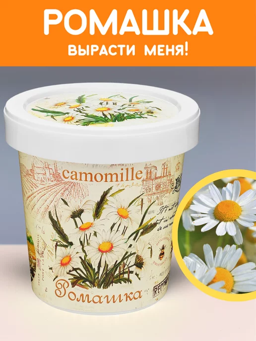 Rostokvisa Набор для выращивания растений Вырасти сам цветы Ромашка, вариант