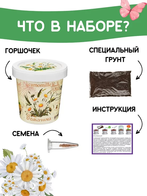 Rostokvisa Набор для выращивания растений Вырасти сам цветы Ромашка, вариант, фото 3