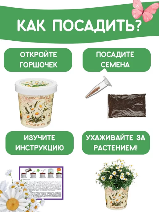 Rostokvisa Набор для выращивания растений Вырасти сам цветы Ромашка, вариант, фото 4