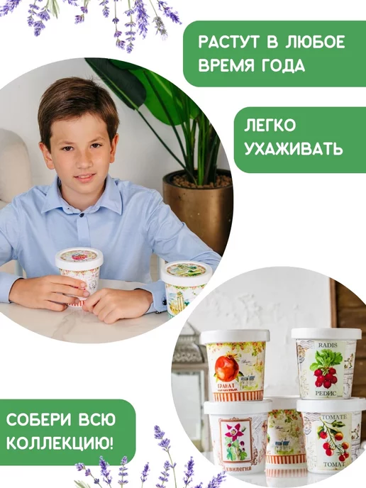 Rostokvisa Набор для выращивания растений Вырасти сам цветы Ромашка, вариант, фото 5