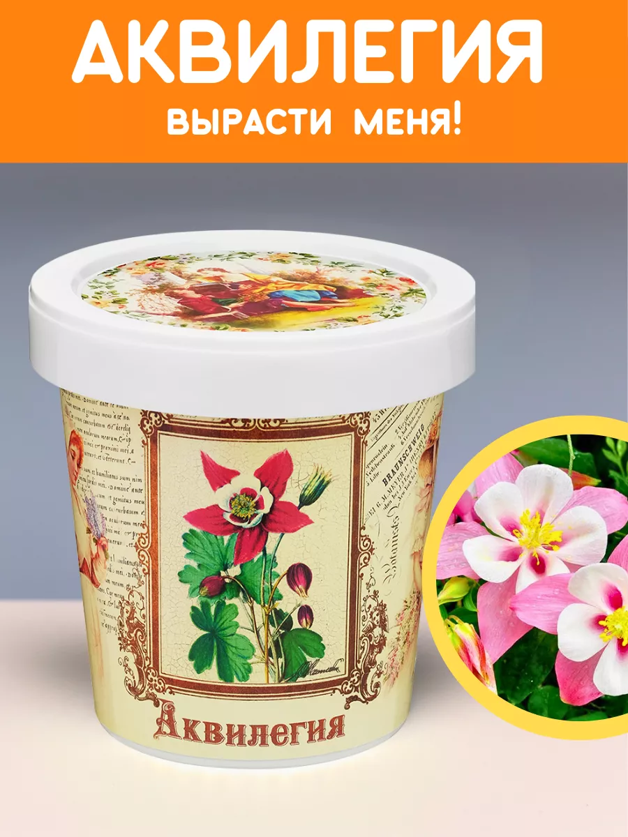 Набор для выращивания растений Вырасти сам цветы Аквилегия