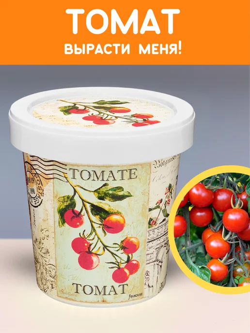 Rostokvisa Набор для выращивания растений Вырасти сам Томат, вариант