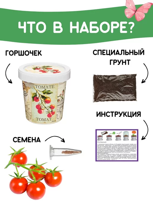 Rostokvisa Набор для выращивания растений Вырасти сам Томат, вариант, фото 3