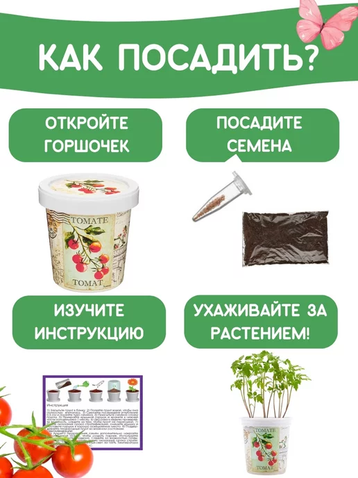 Rostokvisa Набор для выращивания растений Вырасти сам Томат, вариант, фото 4