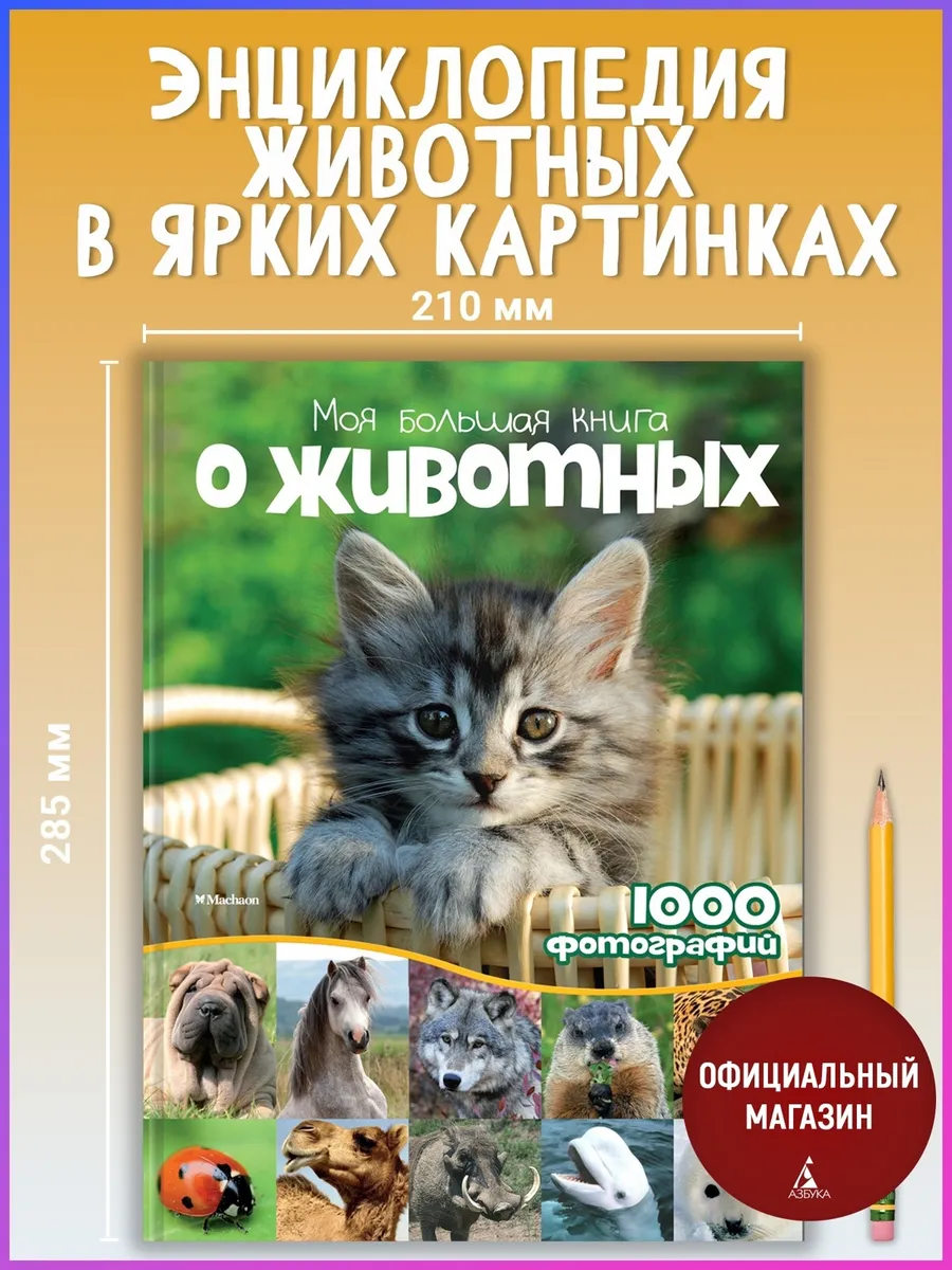 Моя большая книга о животных Издательство Махаон 2382536 купить за